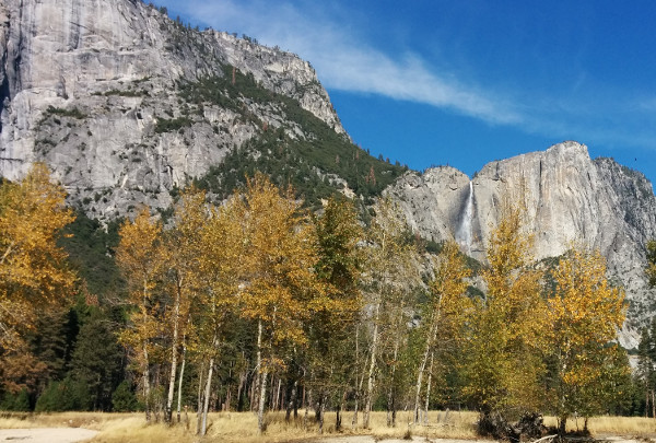 Granite peaks and forest near Groveland and Big Oak Flat